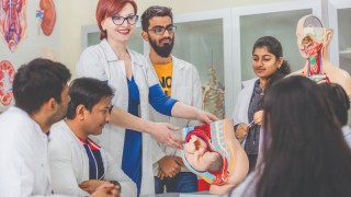 დიპლომირებული მედიკოსის ინგლისურენოვანი პროგრამა