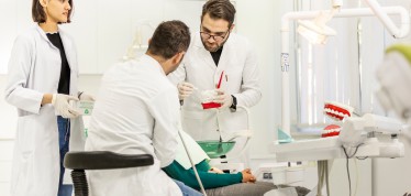 სტომატოლოგიის ქართულენოვანი პროგრამა